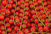 Top view of ripe red tomatoes placed on vegetable stall in section in local market