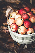 Fresh ripe apples in a basket