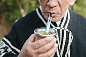 Älterer Mann in traditionell gestrickter Kleidung trinkt Mate mit Strohhalm in einem grünen Park in Temuco
