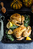 Roasted Chickens on a baking tray with thyme and lemons