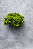 Salatpflanze auf grauem Hintergrund