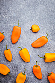 Sweet little orange and yellow peppers on a grey background