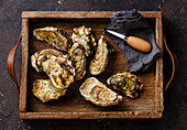 Oysters fines de claire with oyster knife in wooden box