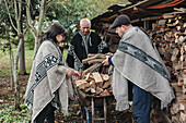 Serious elderly farmers in Mapuche clothing loading a pile of logs into a cart while working together on a farm in Temuco
