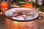 Großer Kupfertopf, in dem frischer Oktopus köchelt, mit Dampf, der über dem kochenden Wasser aufsteigt, vor orangefarbenen Gasflaschen und anderen Kochgeräten in natürlichem Laub