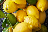 From above to bottom of a basket of yellow and green lemons placed on top of each other