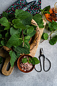 Top view of inviting vegan cooking setup showcasing fresh nettle leaves on a wooden board a bowl of Himalayan pink salt black scissors and a glass bottle of oil all arranged on a gray textured backdrop