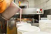 A cheese maker pours fresh, creamy milk into a large steel vat for curdling the first step in the cheese-making process in a professional kitchen