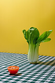 Frischer grüner Bok Choy-Kohl und eine halbe rote, reife, saftige Tomate auf einem karierten Tischtuch vor gelbem Hintergrund