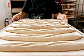 Cropped unrecognizable male baker in black t-shirt preparing to put tray with raw dough in oven for baking loaves of bread in kitchen at bakehouse