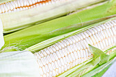 Top view of crop raw ripe corns with green husks placed on blurred gray surface