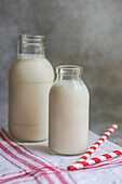 Raw cow milk in vintage bottles on rustic napkin and drinking straws against gray surface