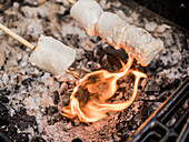 Blick von oben auf einen Marshmallow, der beim Picknick in einem Holzkohlegrill mit Spießchen geröstet wird