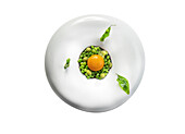 Top view of appetizing yolk on green peas with sauce served on round plate with herbs isolated on white background