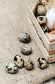 Quail eggs scattered and placed in a small wooden crate on a burlap fabric surface, invoking a rustic and natural vibe.