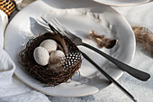 High angle of elegant Easter dining arrangement, featuring pristine white plate with a delicate embossed design with woven nest containing speckled eggs, accompanied by fork and knife and feathers