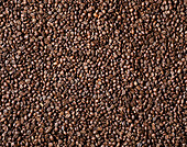 Draufsicht auf einen Hintergrund mit aromatischen braunen Kaffeebohnen, die auf der Oberfläche verstreut sind
