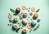 From above composition of different colorful eggs and flowers on blue background