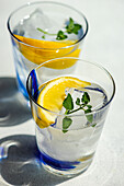 High angle of Summer cocktails with lemon vodka, slices of lemon and wild mint leaves served with ice placed on white table