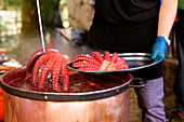 Ein anonymer Koch mit Schutzhandschuhen bereitet einen frischen Oktopus zu, indem er ihn mit einer Zange aus einem dampfenden Kupfertopf hebt, während ein anderer Tentakel auf einem Teller in der Nähe ruht