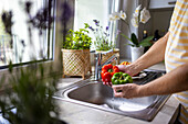 Anonyme männliche Person wäscht Paprika mit einem Wasserstrahl aus dem Wasserhahn in der Küchenspüle, während sie im unscharfen Hintergrund kocht