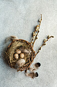 From above of rustic Easter flatlay with a nest of speckled eggs, feathers, and pussy willow branches on a textured grey backdrop