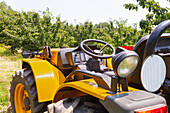 Stehender gelber Traktor neben grünen Kirschbäumen in einer Bio-Plantage an einem sonnigen Tag