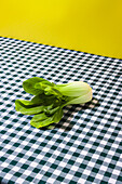 Frischer grüner Bok Choy-Kohl auf kariertem Tischtuch vor gelbem Hintergrund