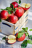 High angle of whole fresh red ripe organic delicious apples with green leaves filled in wooden box with half cut pieces and placed on gray surface in daylight
