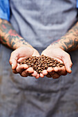 Cropped unrecognizable man in apron with handful filled by brown aromatic coffee beans against roasted grains