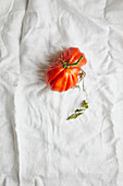 Top view of fresh ripe beef tomato with stem and weathered leaves placed on rough white fabric background