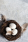 From above nest with hay and eggs on concrete background as a Easter card concept
