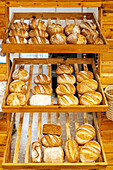 Various freshly baked tasty loaves of breads with crunchy crust placed on wooden shelves for display in bakery store