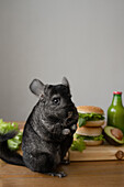 Liebenswertes schwarzes Chinchilla sitzt auf einem Holztisch mit frischem grünem Salat und Burgern mit Avocado und einer Flasche Saft und schaut in die Kamera