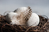 Nest with hay and eggs on concrete background as a Easter card concept