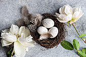 Top view of easter card concept with nest full of eggs and white rose flowers on concrete background