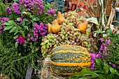 A colorful array of fruits, including pears and grapes, alongside a patterned pumpkin, set amidst lush pink flowers and greenery at a market.