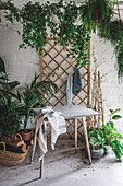 Holztisch mit Tuch auf Betonboden vor weißer Backsteinmauer, dekoriert mit Topfpflanzen in hellem Studio