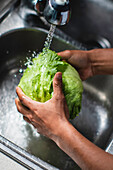 High angle of unrecognizable African American male chef washing fresh green iceberg salad in metal sink with water while cooking healthy salad in kitchen