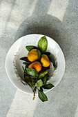 Frische Mandarinen auf einem klassischen weißen Teller über einer strukturierten beigen Serviette, die rustikalen Charme und Einfachheit vermittelt