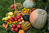 Eine bunte Auswahl an frischem Obst und Gemüse, darunter Kürbisse, Äpfel, Weintrauben und Birnen, auf dem Gras ausgestellt