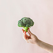 Woman hand holding whole raw green broccoli at pale beige wall background. Healthy green vegetable without plastic packaging. Sustainable organic food from garden. Front view.