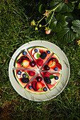 Draufsicht auf Zutaten, bestehend aus Beeren, Äpfeln, Weintrauben, Pflaumen und Pfirsichen, die auf rund geschnittenen Scheiben in einem grauen Keramikteller im Sonnenlicht auf einer grünen Rasenfläche platziert sind, während sie eine Wassermelonenpizza zubereiten