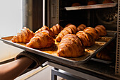 Delicious freshly baked croissants placed on counter tray being taken out of oven by hand of anonymous person in bakery at daylight