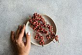 Anonymous holding a ceramic plate with a spray of organic buffaloberries against a textured grey background in natural light in concrete background