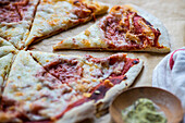 Fresh baked homemade pizza with italian herbs and parmesan cheese on the table