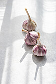 Top view of raw garlic bulbs with detailed texture on a neutral gray background showcasing their natural purple hue and intricate roots