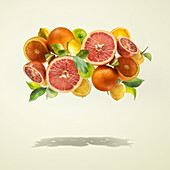 Group of flying various citrus fruits with green leaves at light yellow background above shadow . Healthy lifestyle. Food levitation. Frame