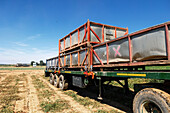 Auf einem Feld geparkter Anhänger mit Containern während der traditionellen Tomatenernte in Toledo, Castilla-La Mancha, Spanien