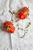 Top view of fresh ripe beef tomatoes with stem and weathered leaves placed on rough white fabric background
